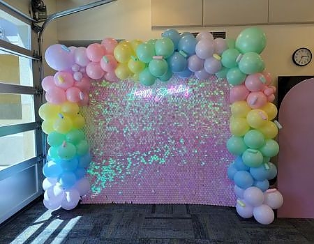Shimmer Back Drop