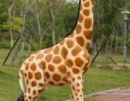 Giraffe standing on a path at a party setup