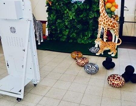 Balloon wall with giraffes and zebras for party setup